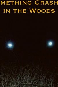   Something Crashed in the Woods (2019)